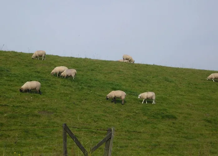 Apartman Esener Baer Esens